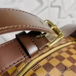 Louis Vuitton Damier Ebene Eole 50 rolling luggage N23205, view 20