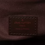 Louis Vuitton Damier Ebene Eole 50 rolling luggage N23205, view 34