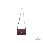 Pre-loved Louis Vuitton Monogram Twice brown and maroon crossbody bag M50183, front view – secondhand designer, NZ