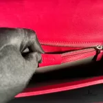 Gucci Dollar pinkish red polished calfskin Interlocking G chain shoulder bag, view 10