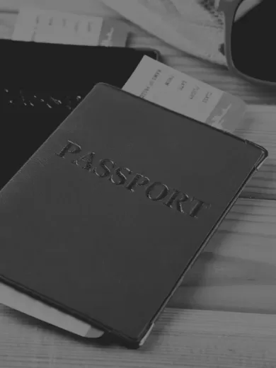 Passport Case