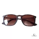 Ray-Ban Chris RB4187 brown unisex sunglasses, view 2