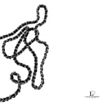 Chanel Cambon Ligne black quilted lambskin wallet on chain with silver hardware, view 30