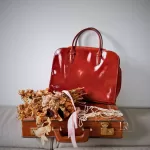 Longchamp Satchel Vintage Y2K